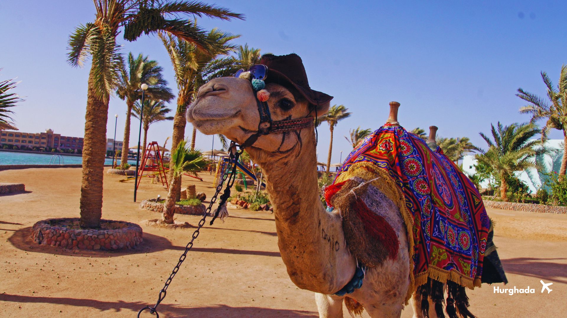 Dolu Dolu Mısır Turu Kadim Rotalar (Kahire-Hurghada)