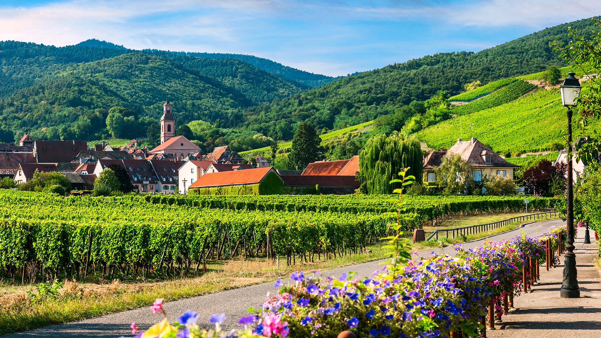 ALSACE'LI ALPLER 2026 YAZ (BGY - STR )