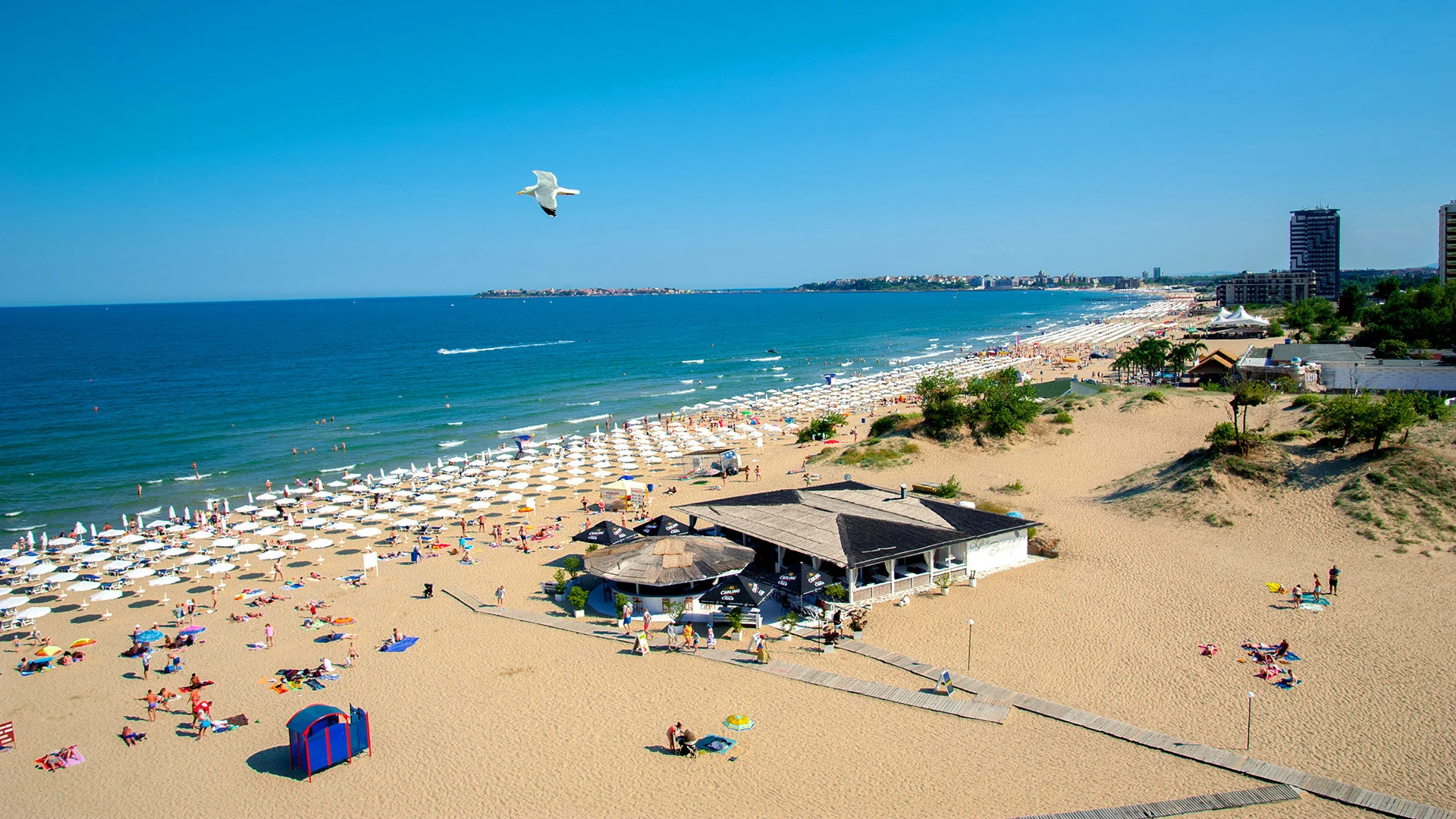 SUNNY BEACH YÜZME TURU