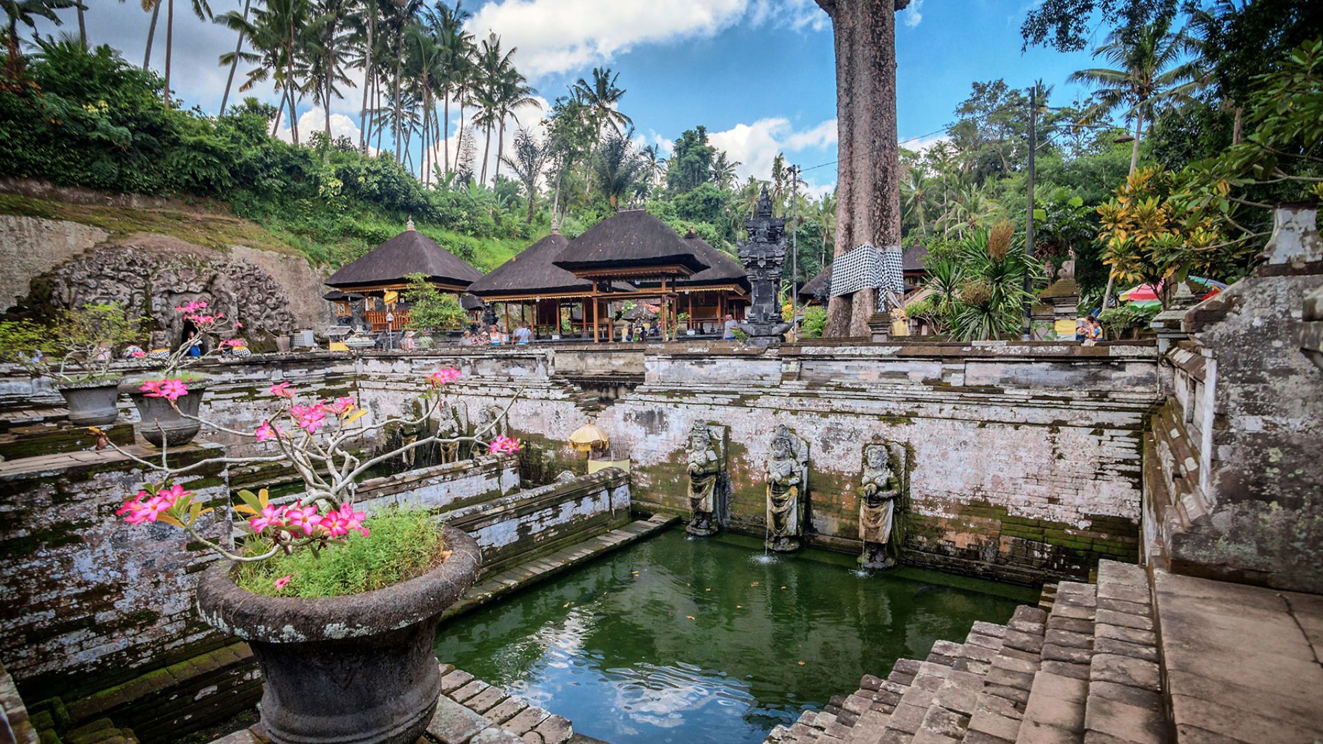 ELEGANT BALİ & UBUD Türk Hava Yolları ile 5 Gece